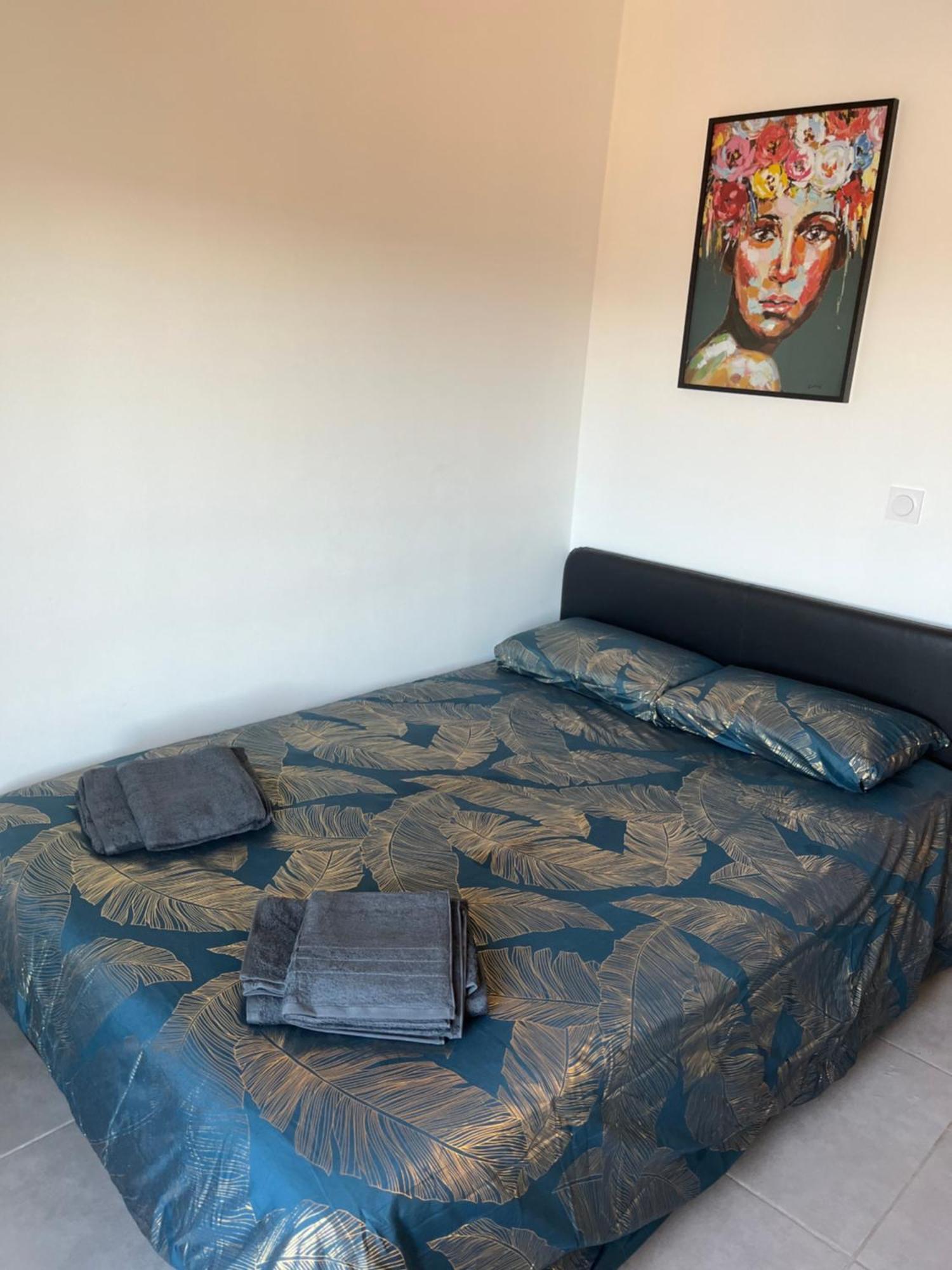 Charmant Appartement Climatise Quartier Las Cobas Perpignan Exterior photo